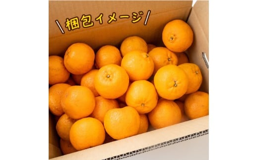 みかん ぽんかん  秀品 5kg 早期受付開始 2027年1月中旬～発送 蜜柑 みかん 先行予約 果物 くだもの フルーツ 柑橘 濃厚 甘い 甘味 産地直送 農家直送 数量限定 国産 ギフト 贈答 高