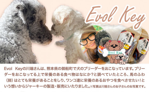 ドッグフード ジャーキー 無添加 馬のふわ ジャーキー 30g ×10袋  Evol Key 《30日以内に出荷予定(土日祝除く)》---sm_ekufjk_30d_r7_33500_10p---