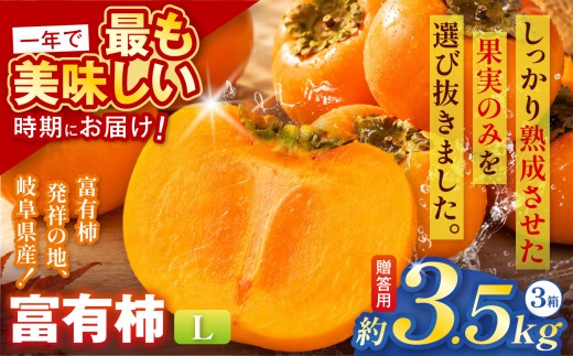 【贈答用】先行予約 令和8年11月中旬順次発送 富有柿 ( Lサイズ ・ 14個 ／ 3.5kg ) 3箱 |【お歳暮やご挨拶に選ばれる】 完熟収穫が生む格別な甘み 柿 富有柿 フルーツ 果物 完熟 国産 贈答用 贈り物 手土産 ギフト プレゼント お歳暮 季節の果物 高級 岐阜県 本巣郡 北方町