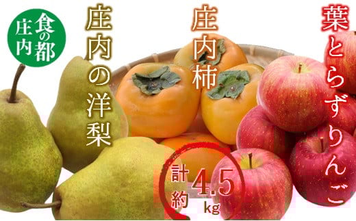 
            食の都庄内　庄内の葉とらずりんご＆庄内柿＆洋梨の詰め合わせ計約4.5kg※11月中下旬頃発送
          