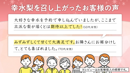 【 先行予約 】 リピーター 続出の 筑西 ブランド 幸水 （ 梨 ）5kg 果物 フルーツ なし ナシ [AE008ci]