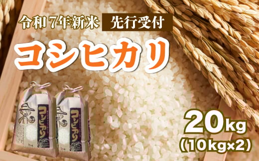 【先行受付】令和7年新米 コシヒカリ 白米20kg（10kg×2袋）2025年8月下旬～発送 お米 米 精米 ごはん ご飯 広島県 三原市 187006