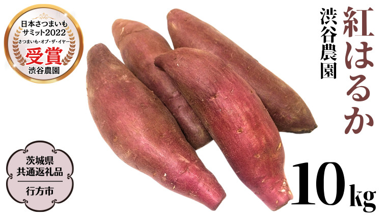 
            紅はるか 約10kg 【茨城県共通返礼品／行方市】 渋谷農園 さつまいも いも 芋 焼芋 [DT002sa]
          