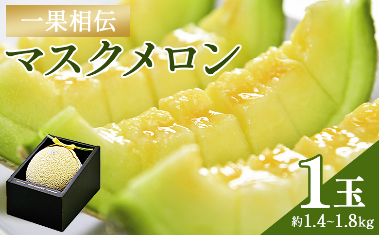 ※写真はイメージです