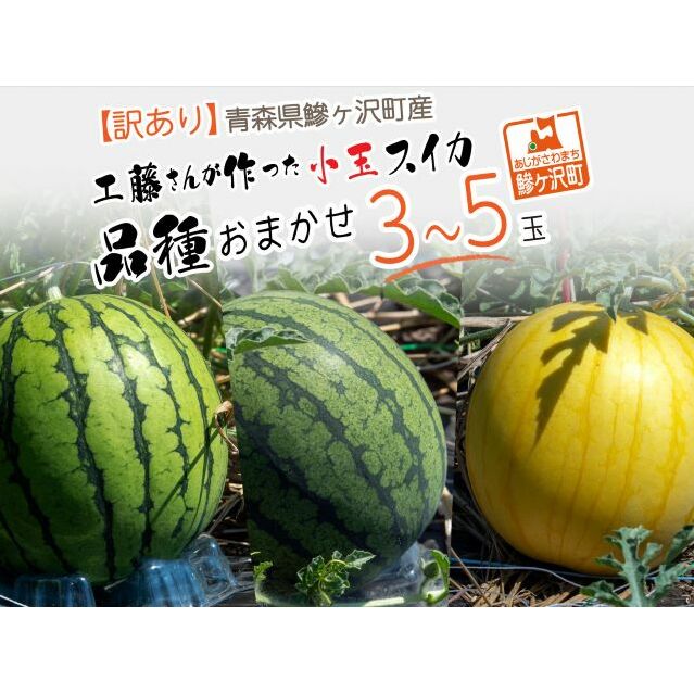 先行予約 訳あり 工藤さんが作ったスイカ 3～5玉 品種おまかせ スイカ すいか 果物 くだもの フルーツ 旬の果物 旬のフルーツ 季節のフルーツ デザート 訳アリ 青森 青森県 鰺ヶ沢町
