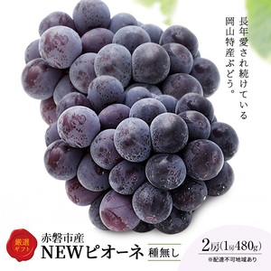 ぶどう 先行予約 ピオーネ 2房 化粧箱 果物 フルーツ 葡萄 ブドウ ぶどう