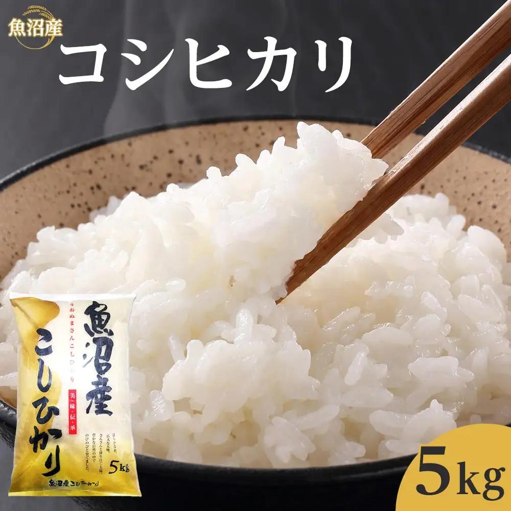 令和７年産魚沼産コシヒカリ　5kg　ご入金確認後～7日程で発送致します。｜新潟県　魚沼　こしひかり　令和7年産