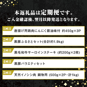 【E90002】＜定期便・全5回＞肝付町セレクト定期便《肉だらけ定期便B》 鹿児島 牛肉 黒毛和牛 豚肉 黒豚 鶏肉 唐揚げ 味付け 定期便 セレクト 加工品 肉加工品 簡単調理 冷凍 冷凍食品 【株