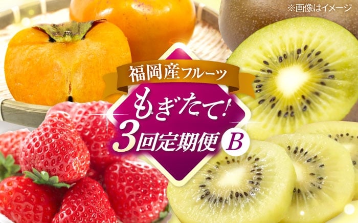 
                  【全3回定期便】九州・福岡もぎたて フルーツ定期便 B　桂川町/一般社団法人地域商社ふるさぽ [ADCF018]
                