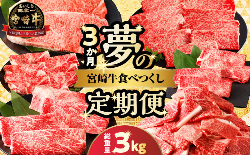 
            ≪3か月定期便≫夢の宮崎牛食べつくしセット(総重量3kg) 肉 牛 牛肉 おかず 国産_T030-142
          