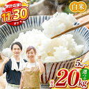 無洗米 10kg ひのひかり 5kg / 森のくまさん5kg 白米 10kg （5kg×2袋） 単一原料米 熊本県産 送料無料 おにぎり おうちごはん 炊立てご飯 ヒノヒカリ