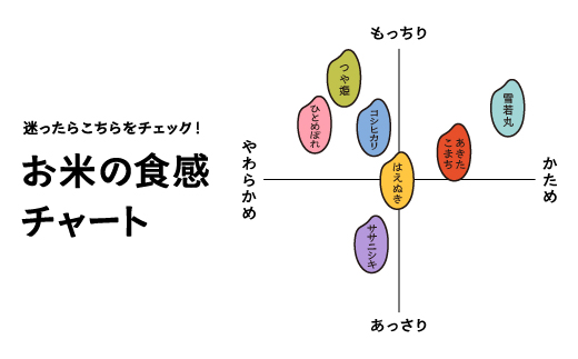 新米 米 令和7年産 【玄米2回定期便】 つや姫 30kg×2回 2026年4月・2026年7月発送 大石田町産 特別栽培米 玄米 ※沖縄・離島への配送不可 ja-tsgxa30x2-tkk4to7 