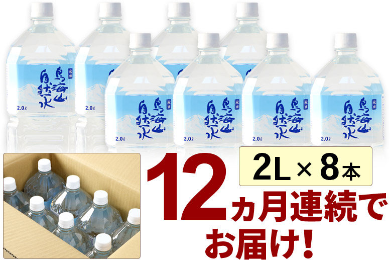 鳥海山自然水(2L)8本×12か月連続 計96本