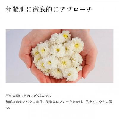 ふるさと納税 宇城市 ドモホルンリンクル クリーム20(宇城市) |  | 01