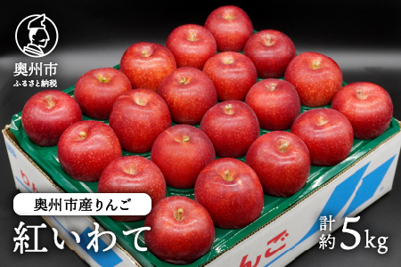 数量限定 奥州市産りんご 紅いわて 5kg(14~20玉) 【10月上旬以降お届け】離島配送不可 [AQ024]