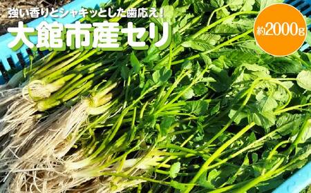セリ 強い香りとシャキッとした歯応え 約2000g　600P3201
