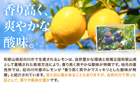 訳あり 国産レモン 約2kg 《10月上旬-1月下旬頃出荷》ﾚﾓﾝﾚﾓﾝﾚﾓﾝﾚﾓﾝ