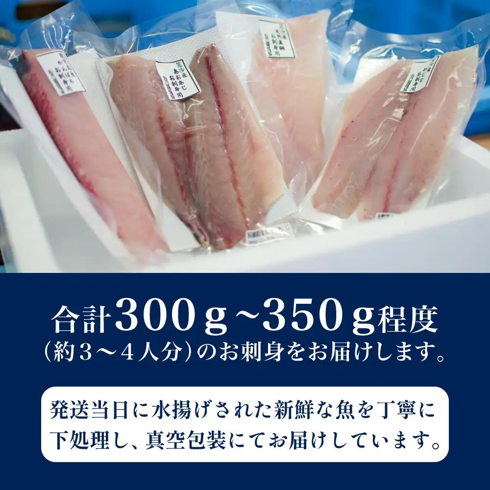 ★9月お届け★ お刺身 詰め合わせ（4種） 朝獲れ 漁師厳選 直送 冷蔵 刺身 さしみ 鮮魚 ヤマチョウ 鹿児島県産 海鮮 直送 セット 詰め合わせ ヤマチョウ 南さつま市