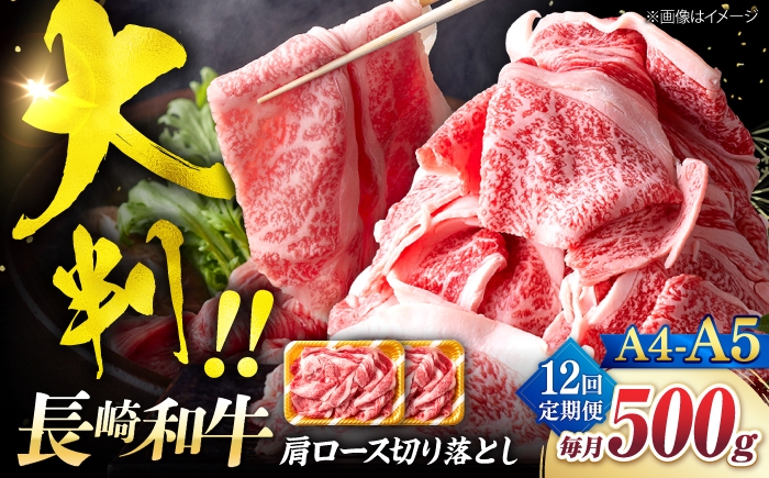 
                  【12回定期便】艶さし！【A4～A5】長崎和牛大判霜降り贅沢切り落とし 計500g（250g×2パック）＜株式会社MEAT PLUS＞ [CFT075]
                