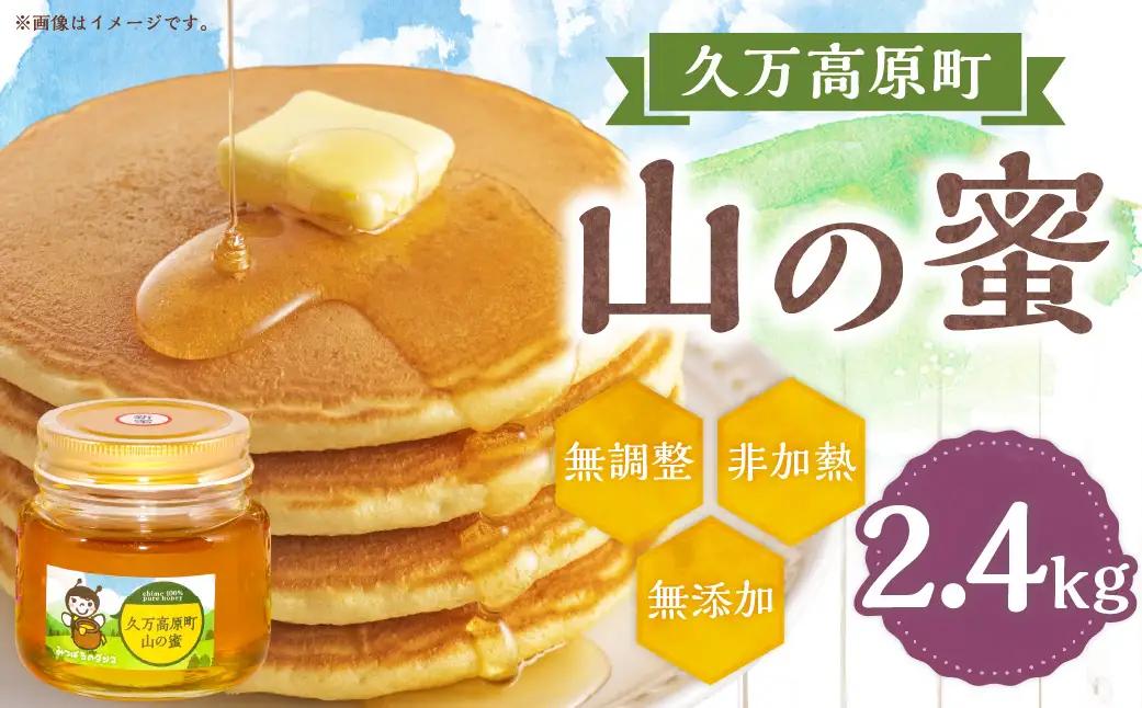 久万高原町 山の蜜 2400g みつばちのダンス 久万高原町産 純粋 蜂蜜 ハチミツ 天然はちみつ 国産 愛媛県 【えひめの町（超）推し！（久万高原町）】（332）