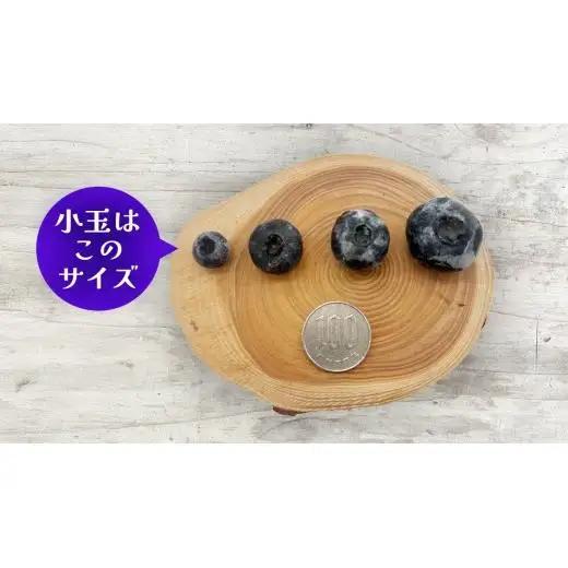 【 最短 7日以内 発送 】 冷凍 ブルーベリー 小玉 500g	【 化学肥料 農薬 使わずに栽培 】 数量限定 小粒 国産 フルーツ スムージー 果物 くだもの 農家直送 スイーツ アイス ノーザン