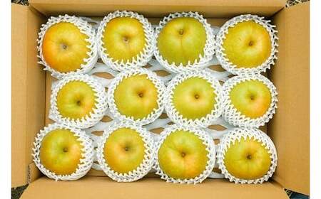 Y1048 八頭町産　梨「新甘泉」3kg【梨 なし ナシ 果物 フルーツ ギフト 先行予約 甘い 果実 果汁 デザート もぎたて 旬】