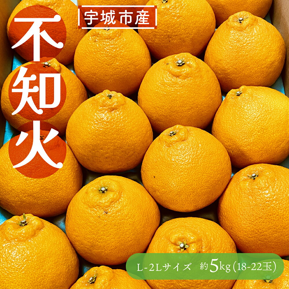 【ふるさと納税】 先行予約 不知火 しらぬい 約5kg（約18〜22玉） 【2026年3月上旬〜2026年5月上旬発送予定】 果物 果実 フルーツ 柑橘 国産 熊本県産 九州 熊本県 宇城市 送料無料 谷川果樹園