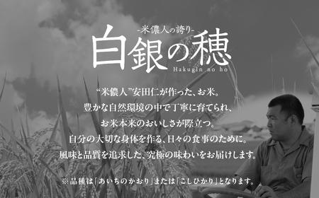 令和7年産【定期便】白銀の穂 5kg×3回 お米