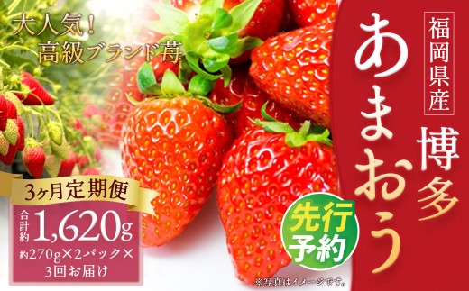 【3回定期便】いちご「あまおう」 約270g×2パック 計約1.62kg 苺 イチゴ 果物 フルーツ 【2027年1月上旬発送開始予定】