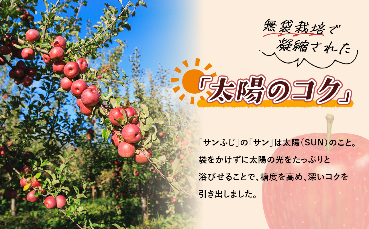 2027年1月発送　【訳あり】家庭用サンふじ 約4kg【原田農園】 家庭用 青森 青森県産 平川 りんご リンゴ 林檎 くだもの 果物 フルーツ 葉とらず サンふじ ふじ