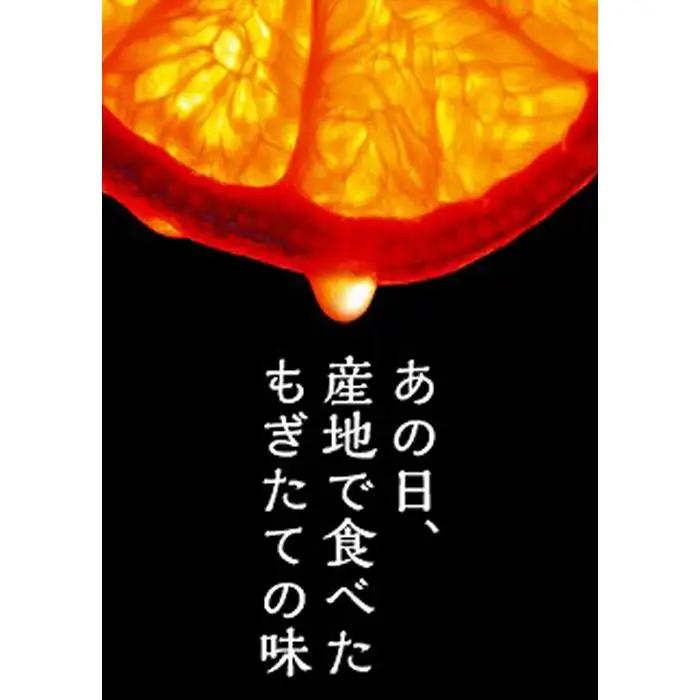 【賢宝】マルケンみかん果汁100％ジュース　（化粧箱／7本入り）もぎたてみかん味のストレートジュース