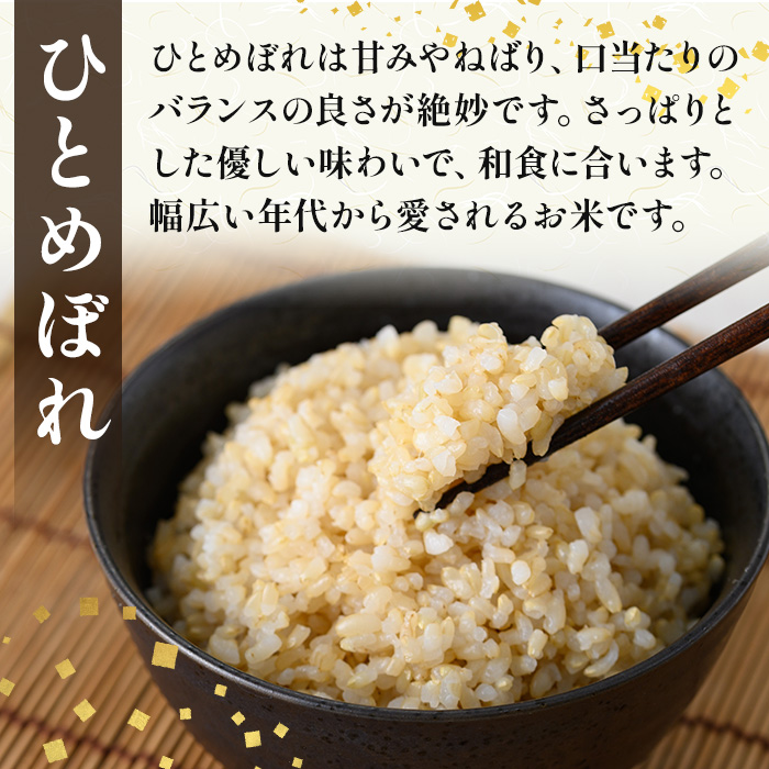 ＜先行予約！2025年11月から順次発送予定＞【令和7年産 新米】柴田町産 ひとめぼれ ＜玄米＞ 30kg お米 おこめ 米 コメ 白米 ご飯 ごはん おにぎり 宮城米 新米 令和7年産 お弁当 【下