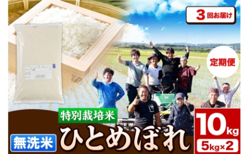 《定期便3ヶ月》令和7年産【無洗米】特別栽培米 ひとめぼれ 10kg（5kg×2袋）秋田県産 [ひとめぼれ 米 お米 無洗米 特別栽培米 ブランド米 食卓 秋田県産 秋田県 由利本荘市]