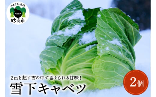 雪下キャベツ【新潟県妙高市】