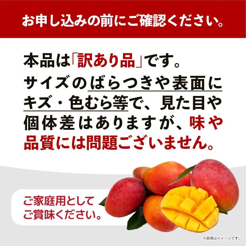 【先行受付】【2026年発送】城間マンゴー園のアップルマンゴー 訳あり 約1kg - 先行予約 沖縄県産 産地直送 南国フルーツ 旬の味覚 季節の果物 ご自宅用 訳アリ 家庭用 沖縄マンゴー 沖縄県 
