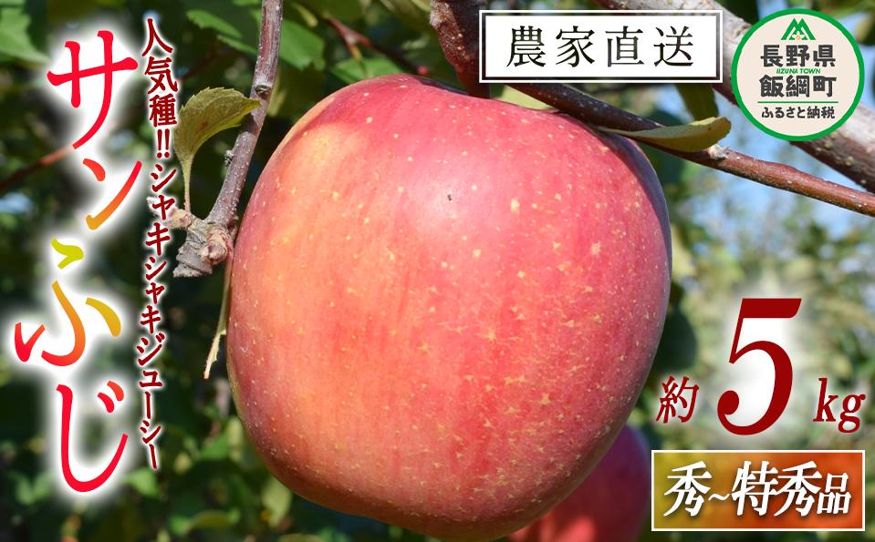 
                  りんご サンふじ 秀 ～ 特秀 5kg 山岸ファーム 沖縄県への配送不可 2026年12月上旬頃から2026年12月下旬頃まで順次発送予定 令和8年度収穫分 信州 果物 フルーツ リンゴ 林檎 長野 予約 農家直送 長野県 飯綱町 [1152]
                