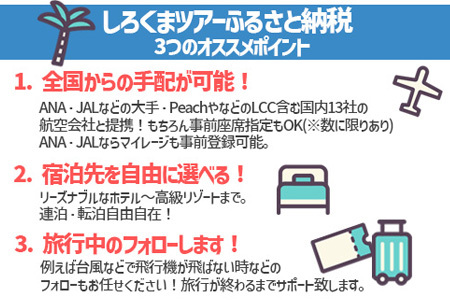 【石垣市】しろくまツアーで利用可能なWEB旅行クーポン (30,000円分)【 沖縄県 石垣市 石垣島 ツアー 紙クーポン 紙券 旅行券 クーポン券 旅行 宿泊 観光 旅 】WB-6