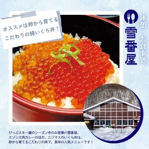 【2026～2027シーズン】ぴっぷスキー場 シーズン券【大人／ファミリーパック】1枚【比布町】スキー スノーボード スノボ 利用券 チケット 冬 北海道 比布町 ぴっぷ 1455-001