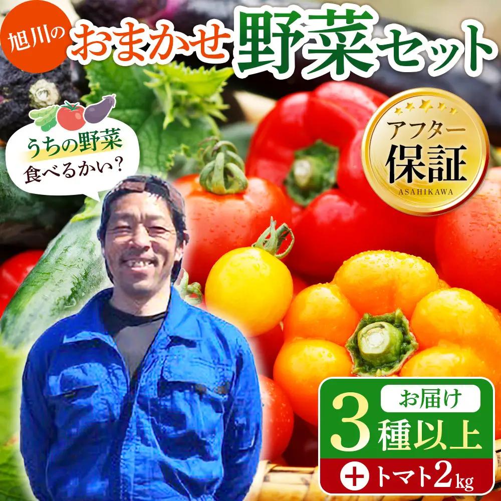 【先行予約】旭川のおまかせ野菜セット(トマト2kg＋3種以上)(2026年7月下旬発送開始) 野菜セット _05910