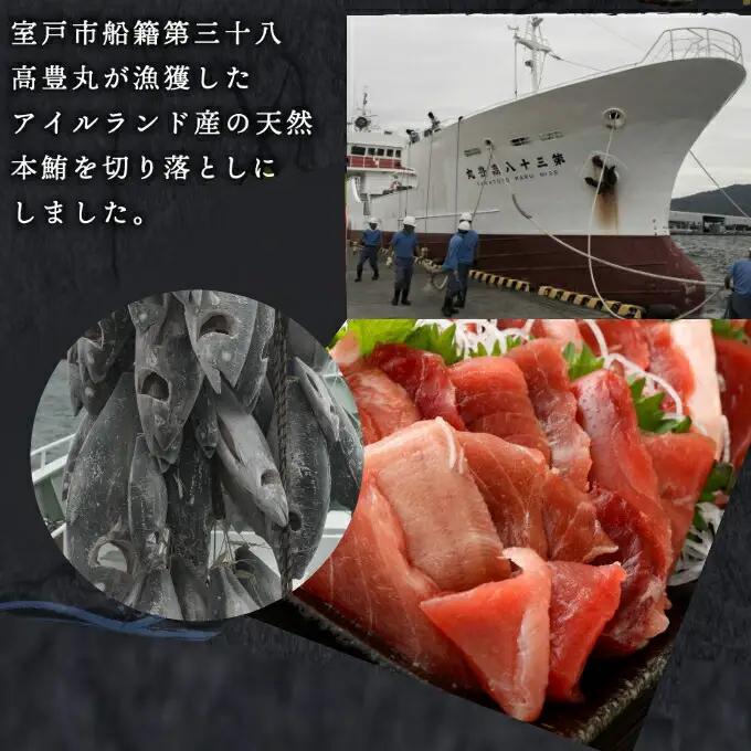【定期便/計6回】天然本マグロ200g（切り落とし） 【まぐろ】tk148