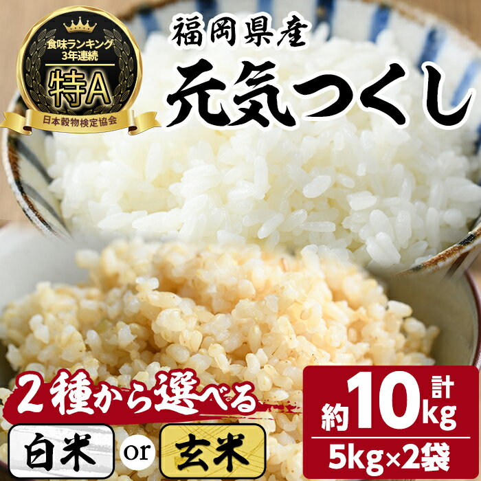 【ふるさと納税】＜選べる白米 or 玄米＞元気つくし(計10kg・5kg×2袋) お米 こめ コメ 精米 玄米 ブランド米 10キロ ごはん ご飯 常温 常温保存【ksg1330】【おどろきっちん】