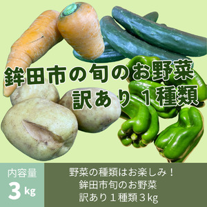 鉾田市旬のお野菜 訳あり（3kg）