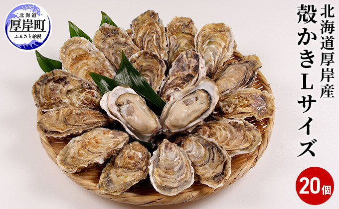 
厚岸産　殻かき L20個セット 北海道 牡蠣 カキ かき 生食 生食用 生牡蠣 [№5863-0314]
