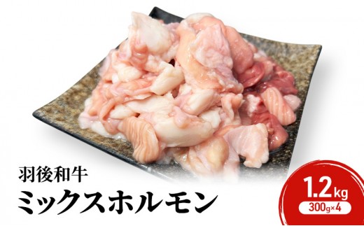 
            秋田県 羽後町産 羽後和牛 ミックスホルモン 1.2kg （300g×4）【 焼肉 ホルモン BBQ バーベキュー キャンプ 】
          
