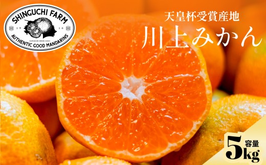 ＜天皇杯受賞産地＞川上みかん 5kg＜愛媛県八幡浜市＞新口農園厳選＜C70-122＞【1683971】 YWTK121