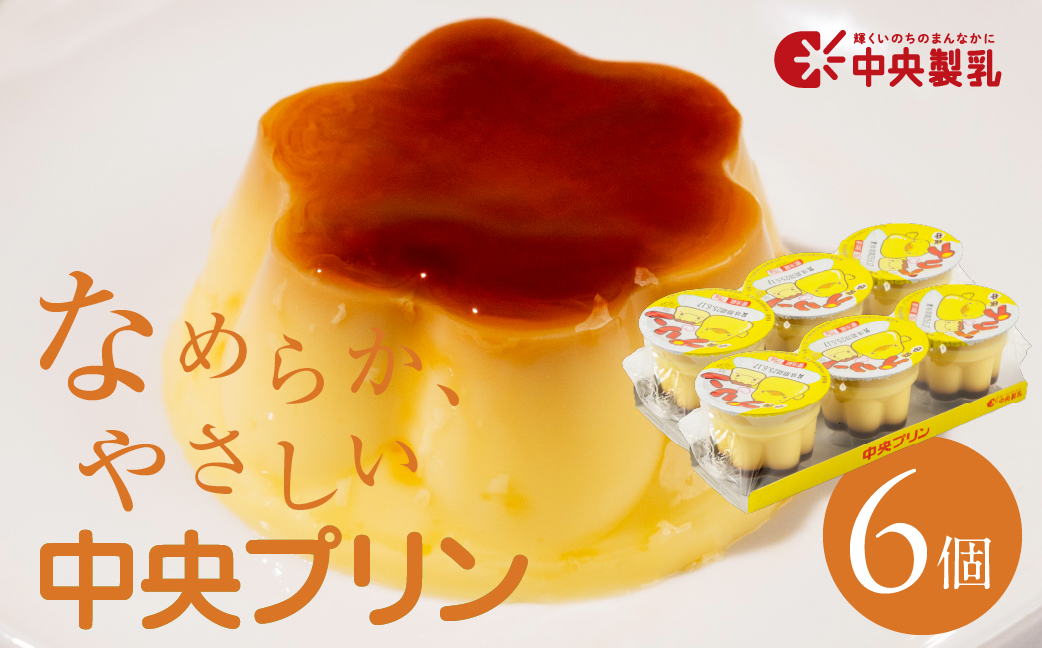 中央製乳 中央プリン3p 6個 セット こだわり なめらか おやつ デザート 定番 甘い たまご カラメルソース 厳選素材 愛知県 豊橋市