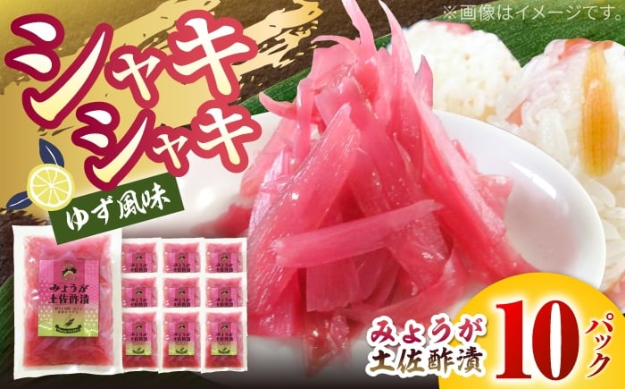 
            みょうが土佐酢漬け 約70g×10パック 【JapanGinger株式会社】 茗荷 ミョウガ 薬味 やくみ 漬物 ツケモノ シャキシャキ食感 適度な辛み [ATFD002]
          