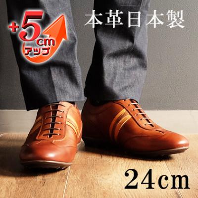 ふるさと納税 大和郡山市 レザースニーカー 紐タイプ 5cmアップシークレットシューズ No.899 ブラウン 24cm