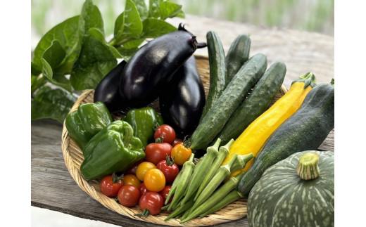 【先行予約受付中】無農薬　無化学肥料　無除草剤　夏のお野菜セット（旬の有機野菜5～10種類前後）