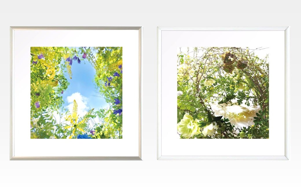 （左）Sunshine Meadow Blossoms　（右）Luxuriant Verdure Vision